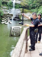 五月花综合
